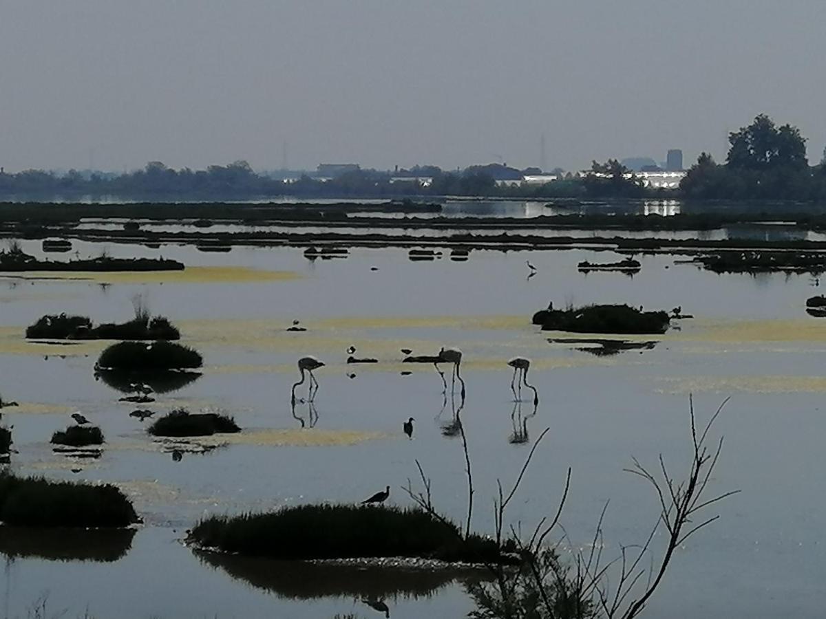 Orizzonte Marino Blu-Vacanza Ricca Di Colori Cavallino-Treporti Exteriér fotografie